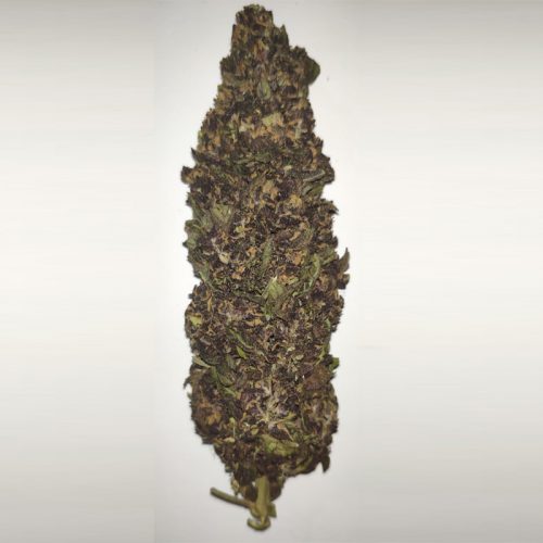 Purple Haze – 25% CBD Hemp Flowers